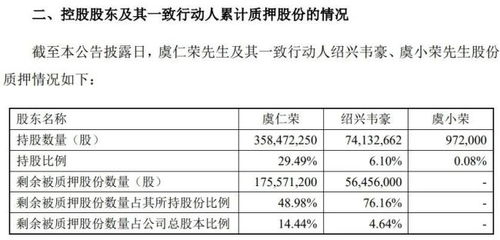 中国芯片首富,是个搞资本的狠人